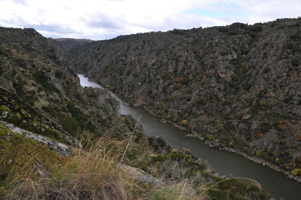 Posada Real La Mula De Los Arribes Villardiegua de la Ribera Экстерьер фото