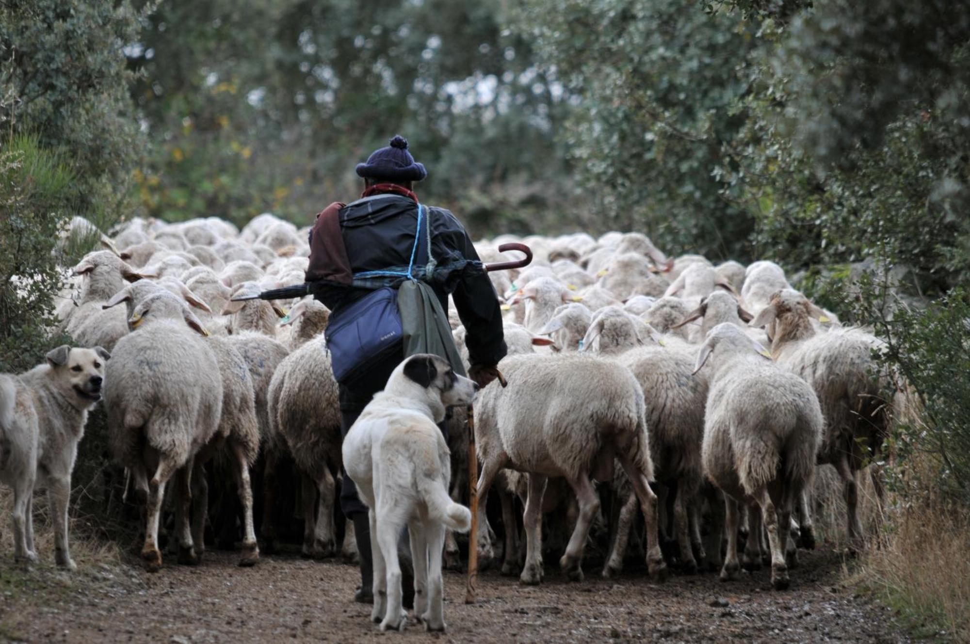 Posada Real La Mula De Los Arribes Villardiegua de la Ribera Экстерьер фото