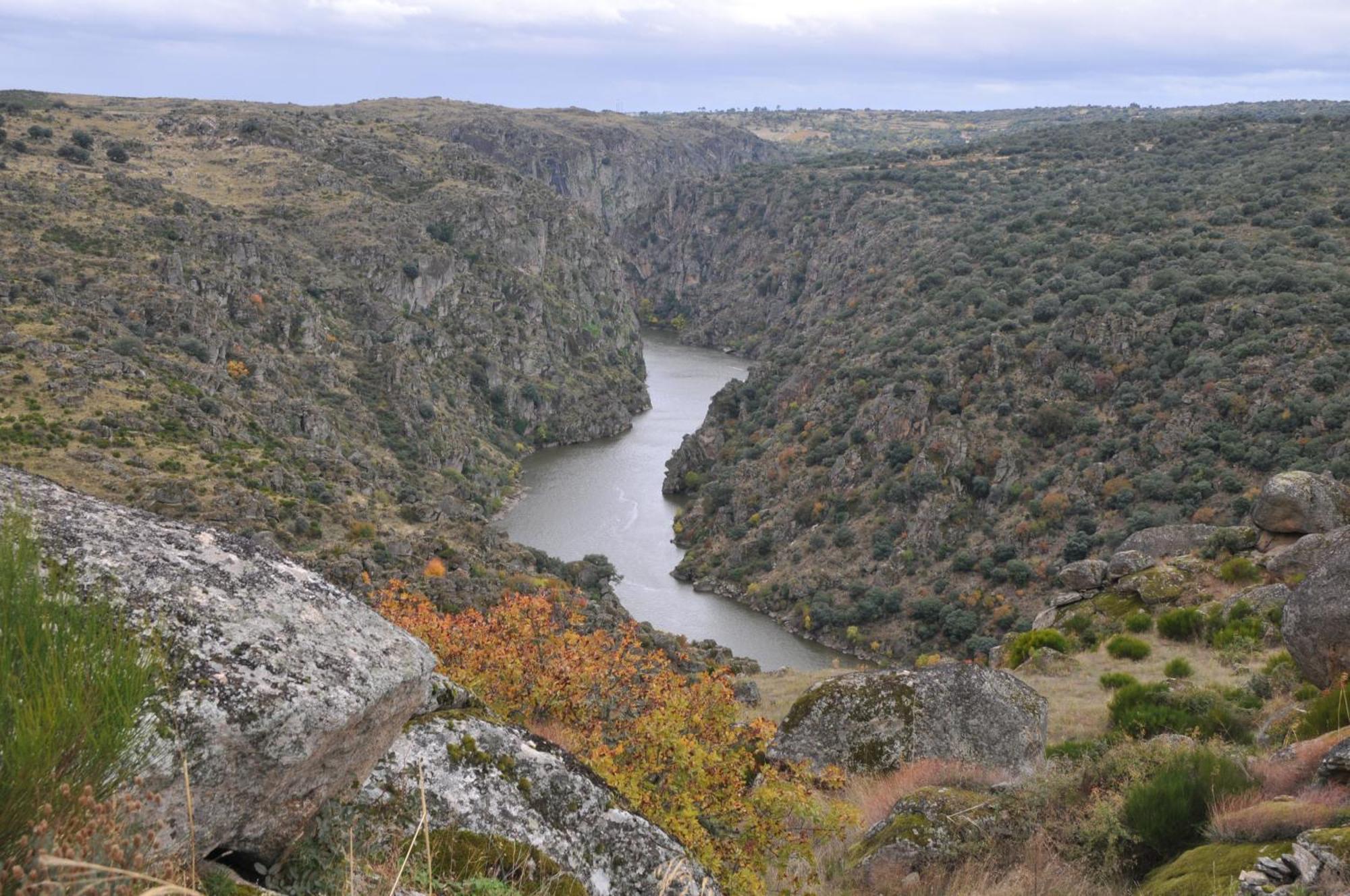 Posada Real La Mula De Los Arribes Villardiegua de la Ribera Экстерьер фото